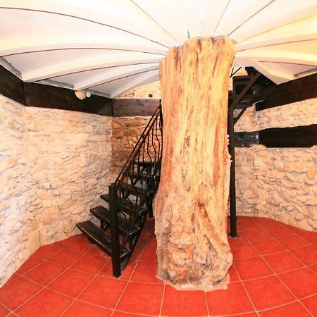 Castelul Lupilor Chimindia Ngoại thất bức ảnh